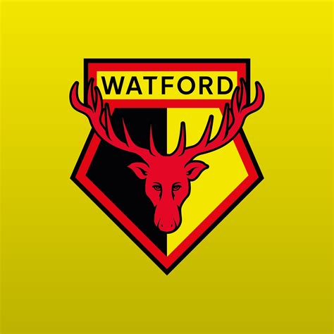 Watford .
